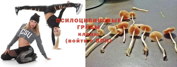 амф Нефтегорск